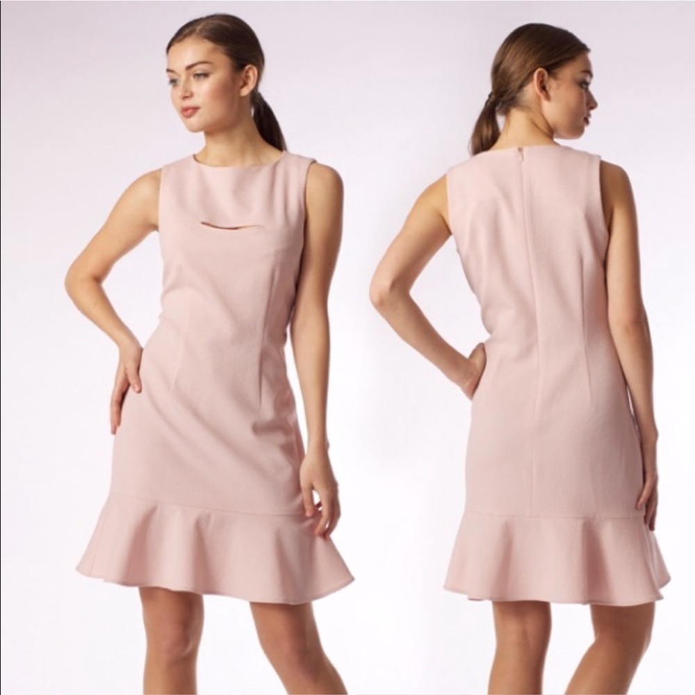 Emploi New York Soft Pink Dress ✨Brand New✨